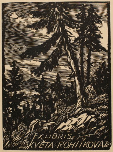 Exlibris by Karel Kunes from Czech Republic for Kveta Rohlikova - Flora Scenery/Landscape Tree 